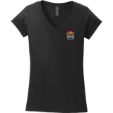 Danville Iron Softstyle Ladies Fit V-Neck T-Shirt