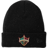 Delaware Ducks New Era Speckled Beanie