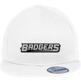 Allegheny Badgers New Era Flat Bill Snapback Cap